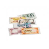 Fólia na bankovky vrátane ochranného púzdra - 100 kusov