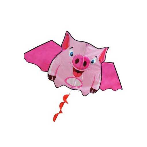 Foto - Detský lietajúci drak - Prasátko